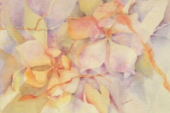 Magnolia PrintPrint of an original watercolor painting. In full color on watercolor paper. Print available in two sizes. 24 x 17, unmatted and 10 x 8, matted.