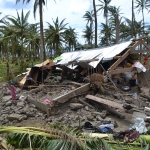 Effects of Typhoon Haiyan