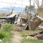 Effects of Typhoon Haiyan