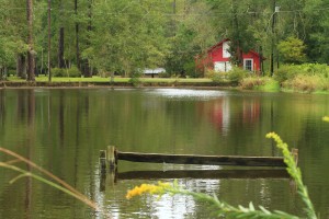 Carmelite Spirituality Center